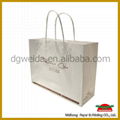 plain white kraft paper bag 2