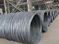 Wire rod