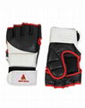 MMA Gloves 4