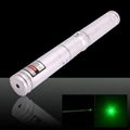 200mW 532nm Flashlight Style Ts-0019 Type Green Laser Pointer 1