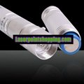 200mW 532nm Flashlight Style Ts-0019 Type Green Laser Pointer 2