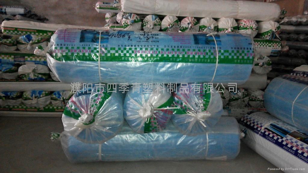 Agricultural Anti-aging  PE  greenhouse film 3