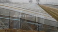 Agricultural Greenhouse film for orange planting 1