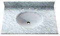 Bianco Carrara White Marble Bathroom Vanity Tops 1