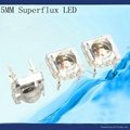 5MM Superflux LED 1
