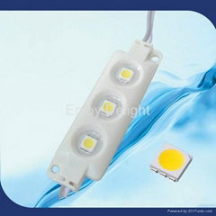 Injection LED Module