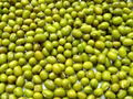 Mung Beans 1