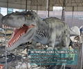 Animatronic Dinosaur-T-Rex 3