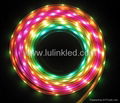 Hot sale WS2811 IC SMD5050 Addressable Led strip 4