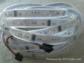 China manufacturer WS2812B 144 Pixel led strip 1