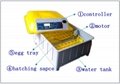 Full automatic chicken egg incubator for sale 2