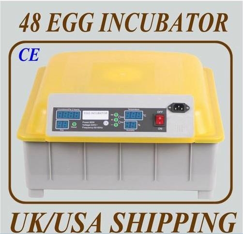 best egg incubator for turkeys best egg incubator for turkeys