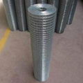 welded Wire Mesh 2