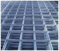 welded Wire Mesh 1