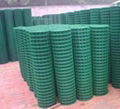 Holland Wire Mesh Fence