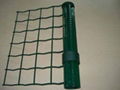 Holland Wire Mesh Fence 2