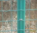 Holland Wire Mesh Fence 4