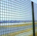 Holland Wire Mesh Fence 5