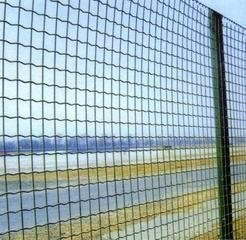 Holland Wire Mesh Fence 5