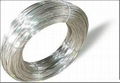 Stainless Steel Wire 2