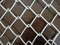 Chain Link Fence 5