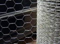 Hexagonal Wire Mesh 1