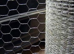 Hexagonal Wire Mesh