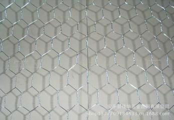 Hexagonal Wire Mesh 2