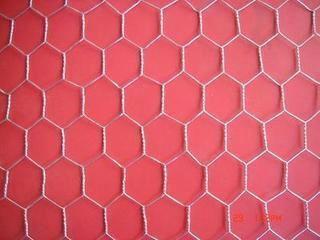 Hexagonal Wire Mesh 5