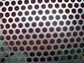 Perforated Metal Mesh 3