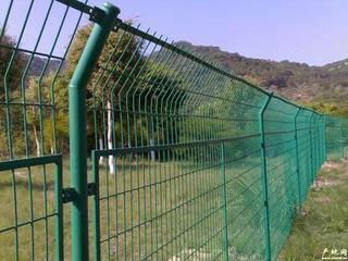 Wire Mesh Fence 3