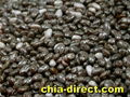 chia seeds 1