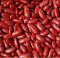 Dark Red Kidney Bean 1