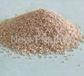 Ferrous Sulphate Monohydrate 1