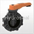 Butterfly Valve 1