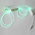 LED Lighting earphone