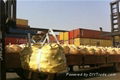 steel grinding balls for cement&mining from China manufacturer 5