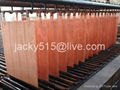 Copper Cathodes/Scrap