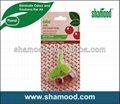 Cherry Shape Plastic Gel Hanging Car Air Freshener  2