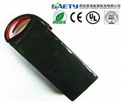 SA10000-4S Lithium Polymer Battery