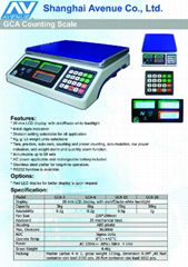 Counting Scale 