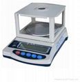 Precision Balance 1