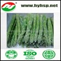 Fresh Frozen Green Asparagus 