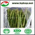 Fresh Frozen Green Asparagus  2