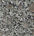 granite 1