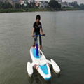 A Single Waterbird Water Bike 1