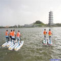 A Single Waterbird Water Bike 3