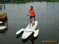 A Single Waterbird Water Bike 4