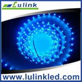 30 pcs/m 5050 SMD Flexible LED Strip Light  2