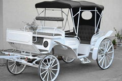 Luxury vis-a-vis wedding carriage